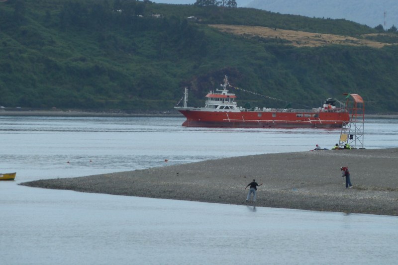 1200M3 Well Boat(Live Fish Carrier)