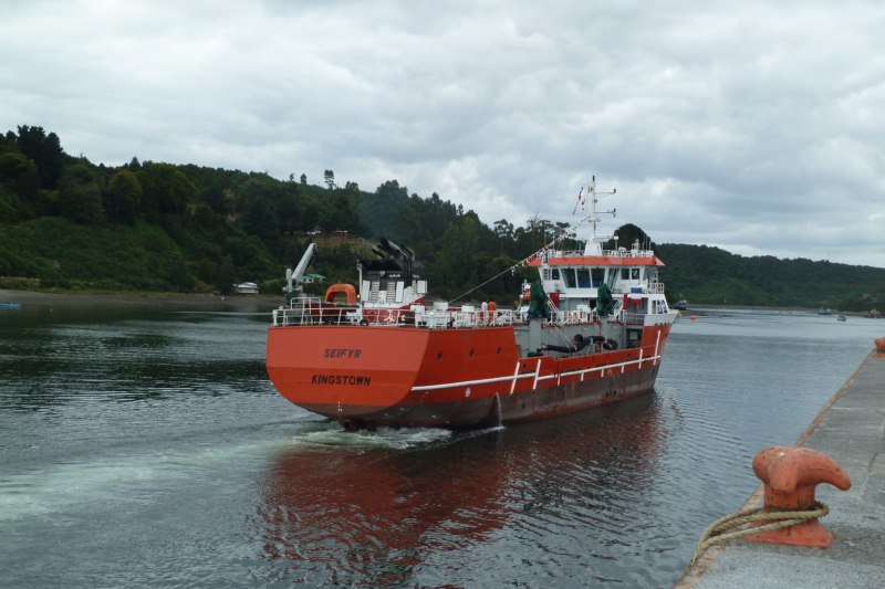 1200M3 Well Boat(Live Fish Carrier)