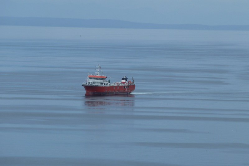 1200M3 Well Boat(Live Fish Carrier)