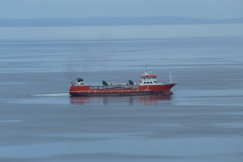 1200M3 Well Boat(Live Fish Carrier)