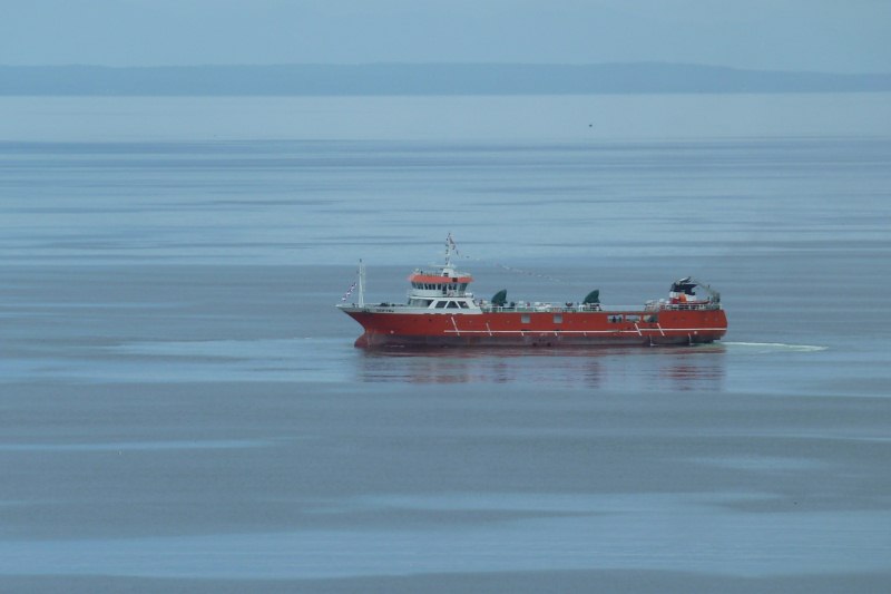 1200M3 Well Boat(Live Fish Carrier)