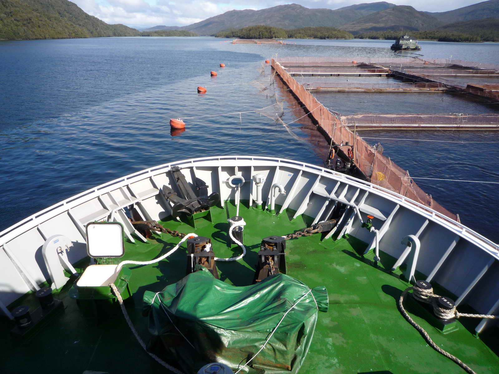 1200M3 Well Boat(Live Fish Carrier)