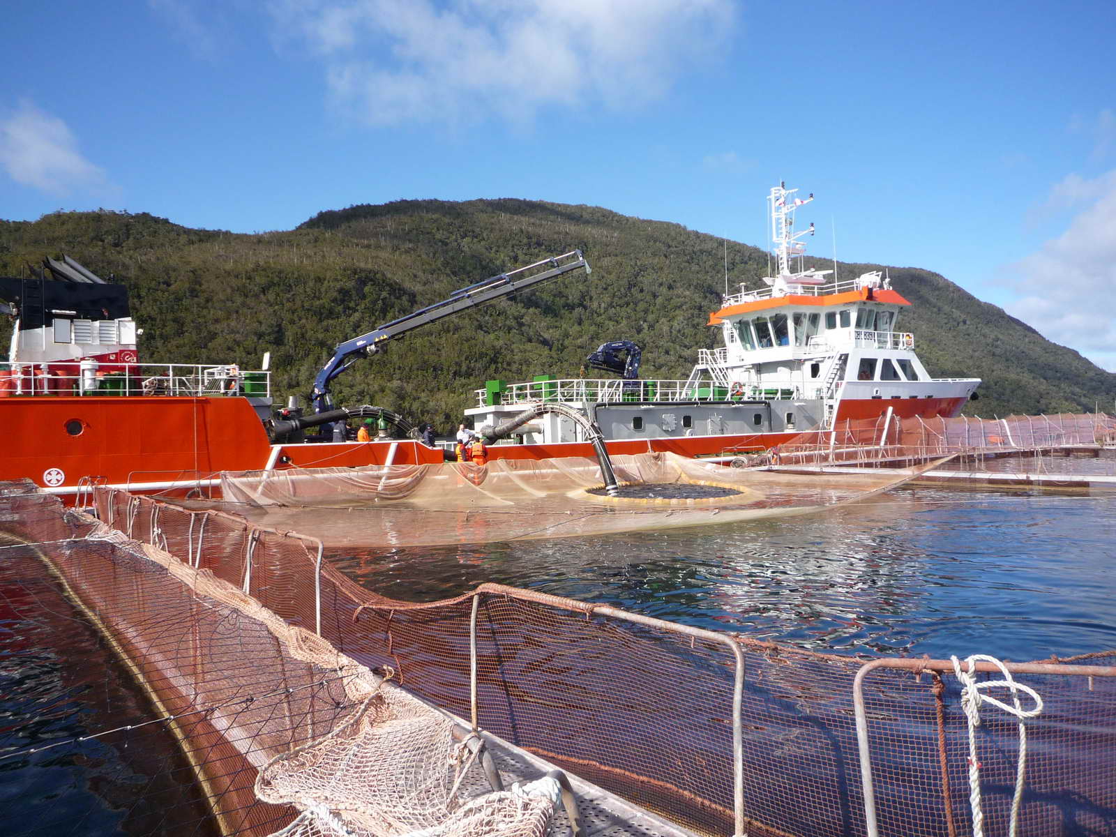 1200M3 Well Boat(Live Fish Carrier)