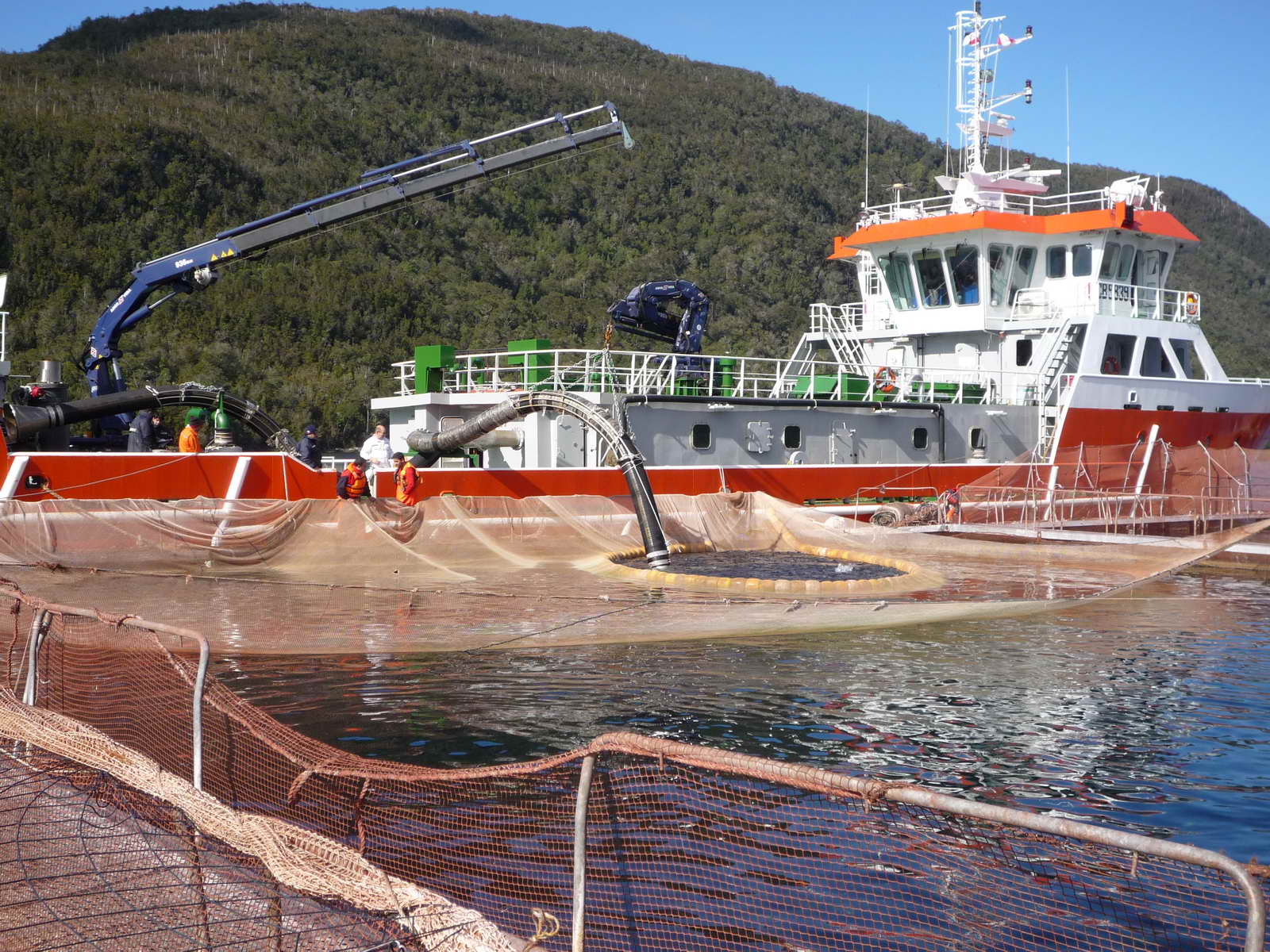 1200M3 Well Boat(Live Fish Carrier)