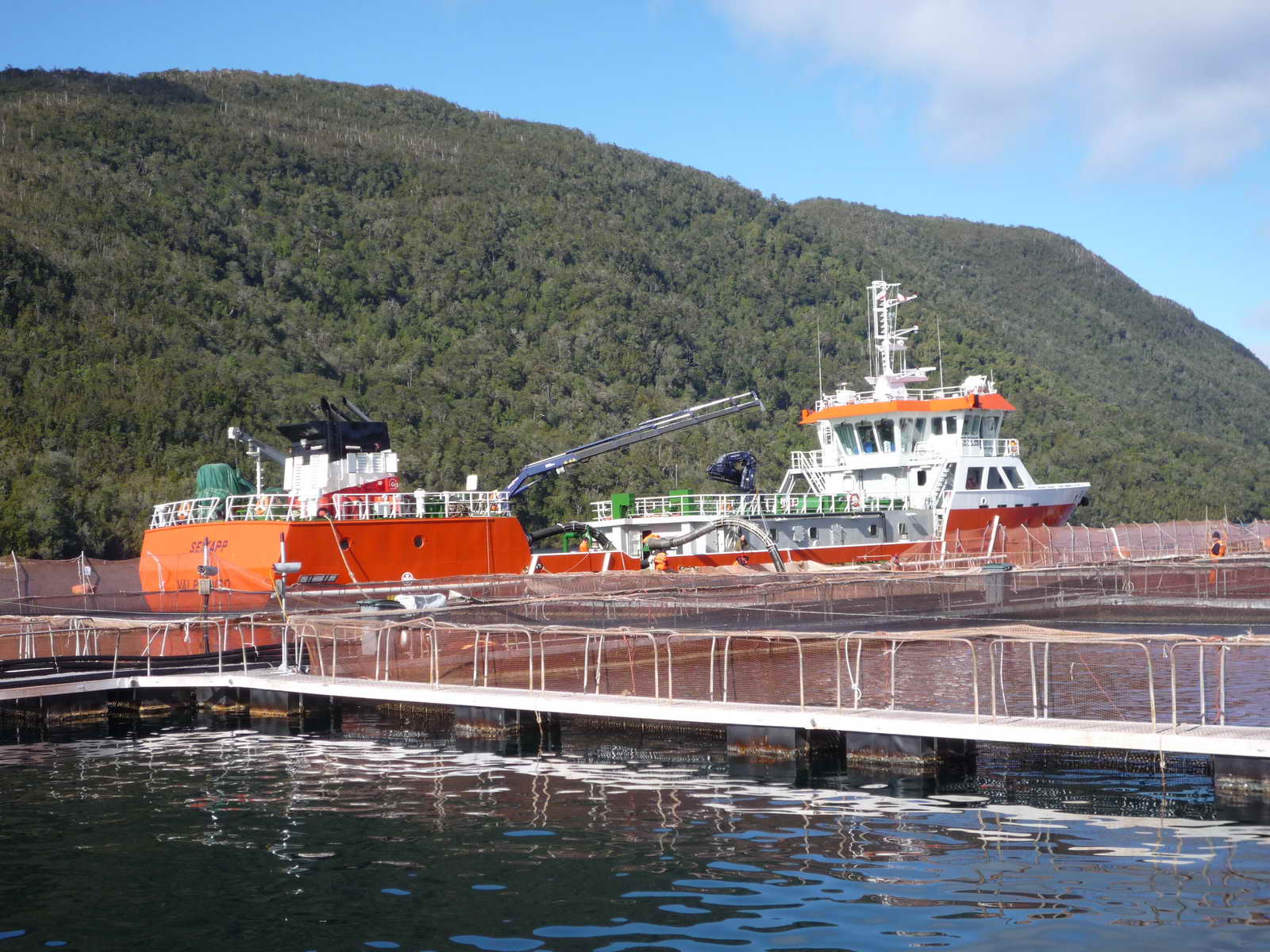 1200M3 Well Boat(Live Fish Carrier)