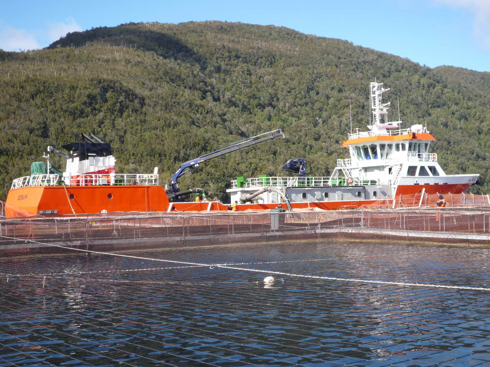1200M3 Well Boat(Live Fish Carrier)