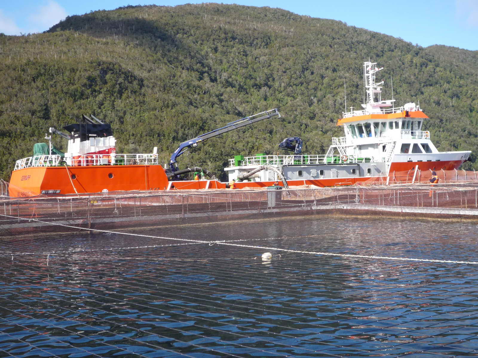 1200M3 Well Boat(Live Fish Carrier)