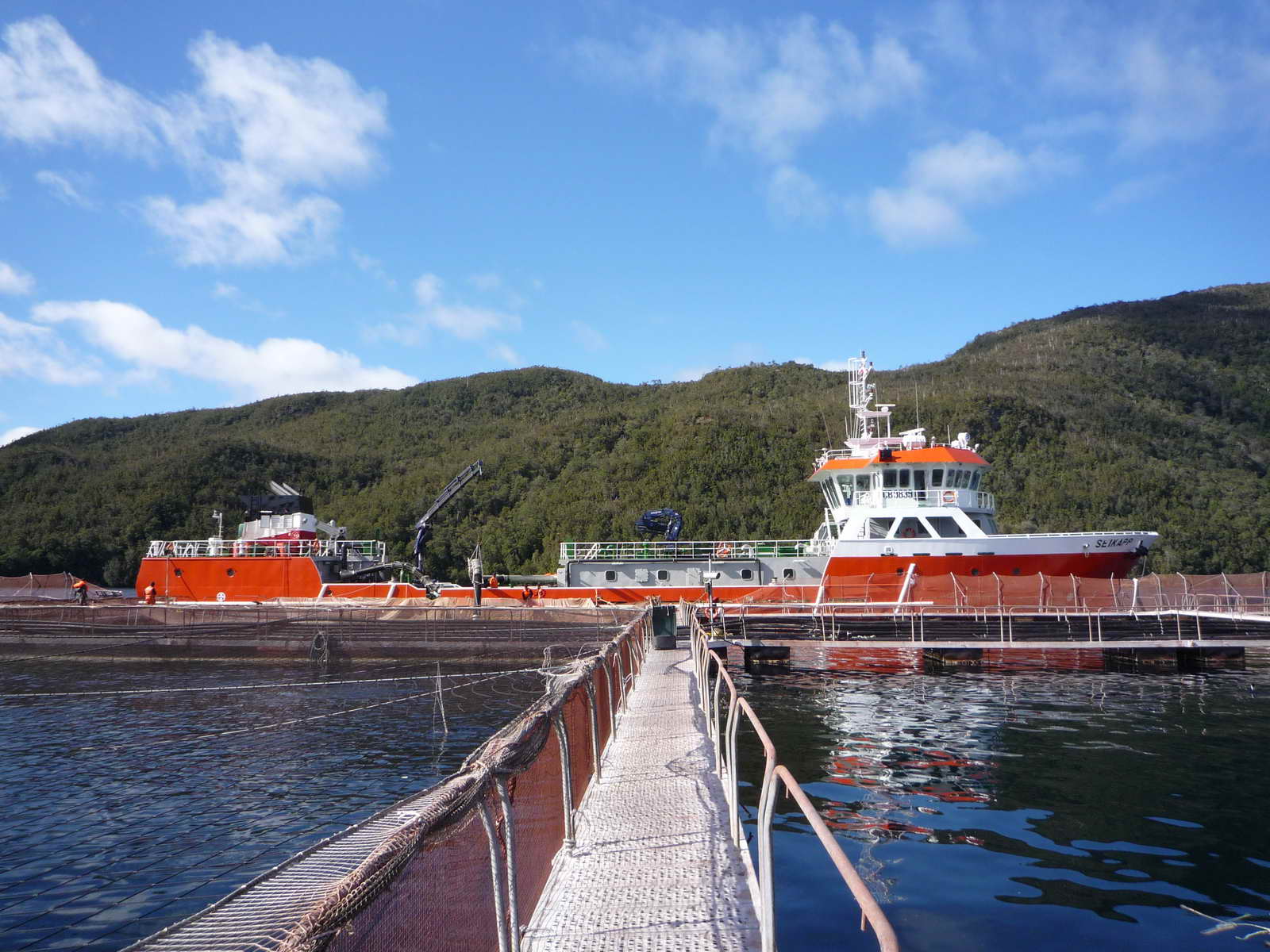 1200M3 Well Boat(Live Fish Carrier)
