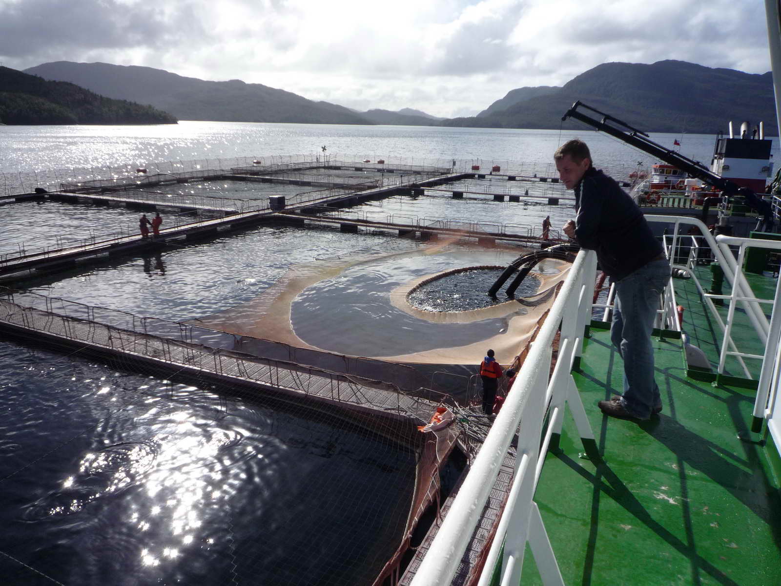 1200M3 Well Boat(Live Fish Carrier)
