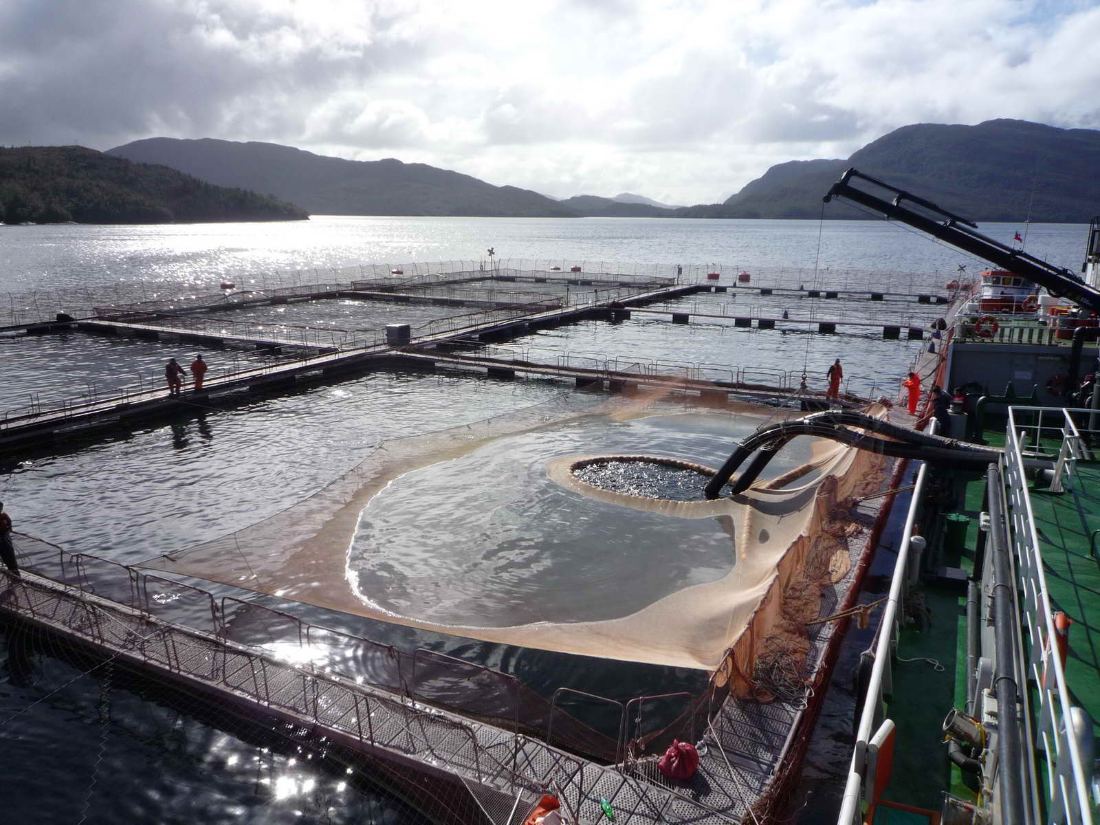 1200M3 Well Boat(Live Fish Carrier)
