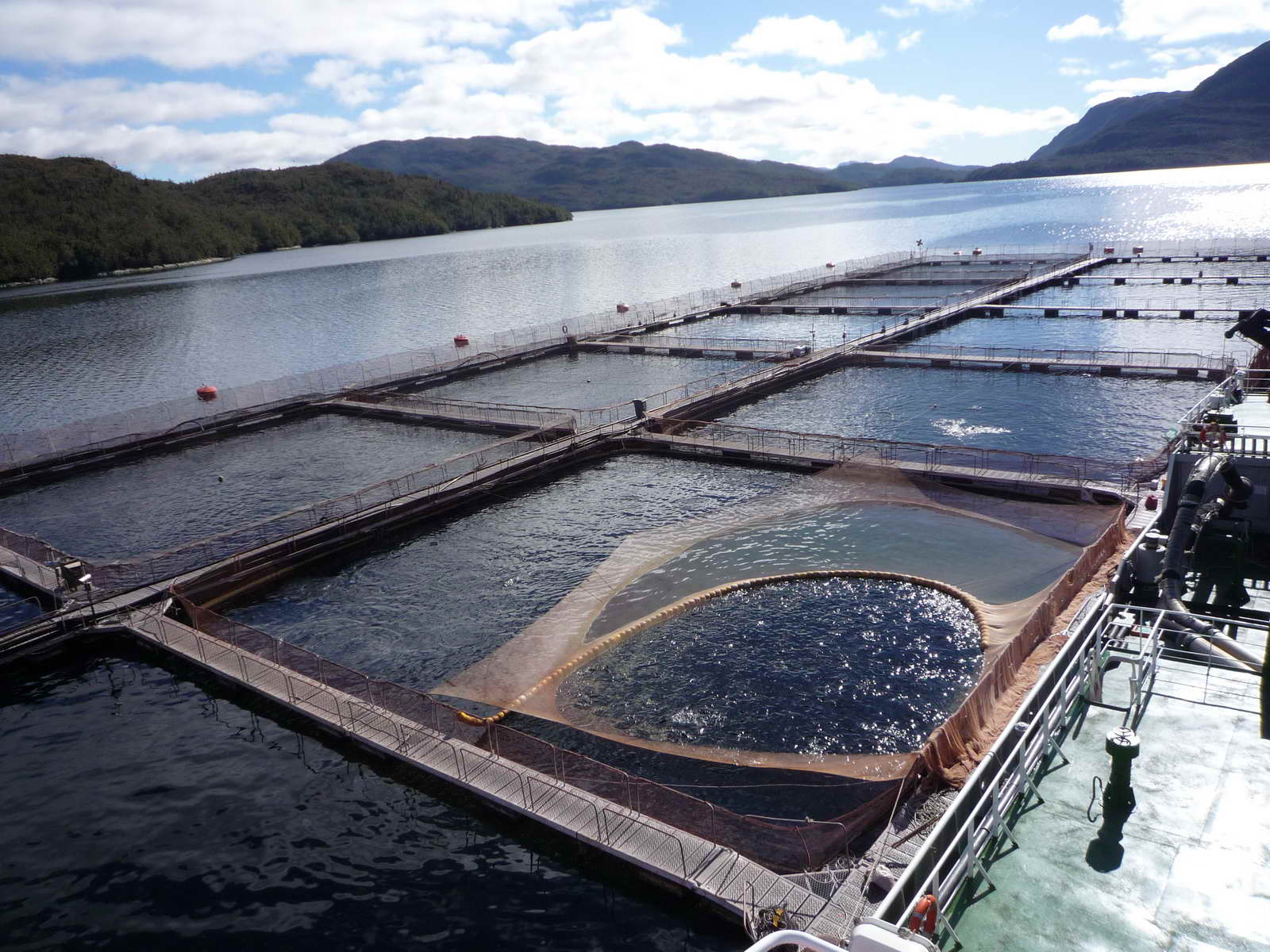 1200M3 Well Boat(Live Fish Carrier)