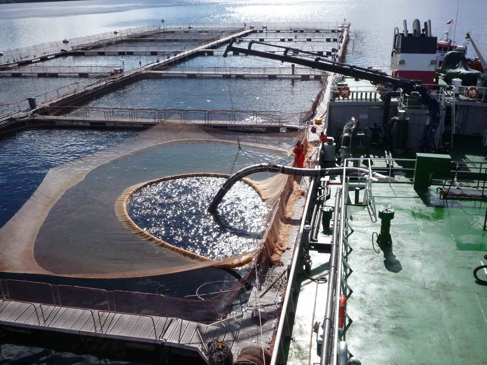 1200M3 Well Boat(Live Fish Carrier)